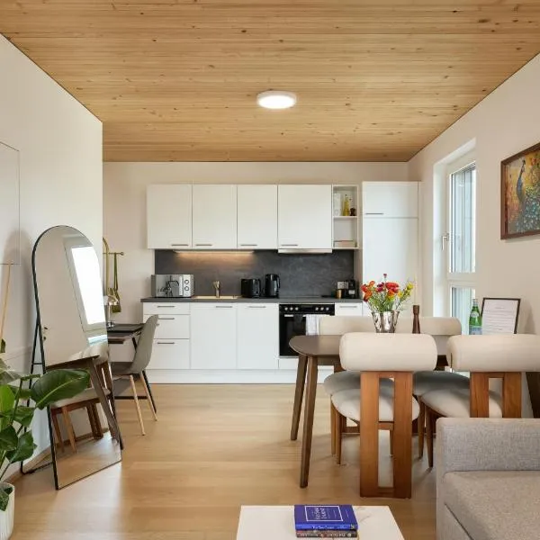 VORALIVING - Modernes Neubau Apartment Toplage - Business & Urlaub - WLAN, 24 7 Check-in, hotel in Dornbirn