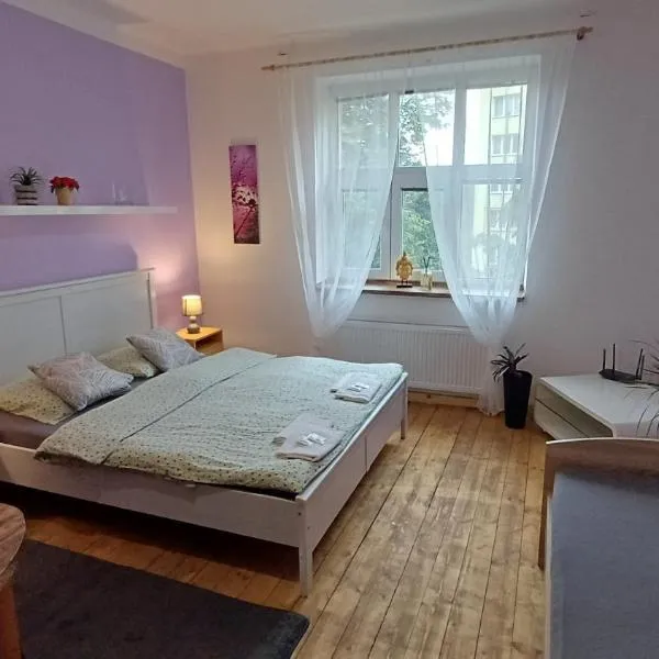 Ubytovaní U Dvora, hotel in Bohumín