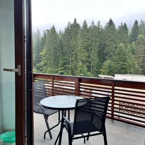 Panorama Pine Retreat - Spacious 2-Bedroom Flat, hotel v mestu Predeal