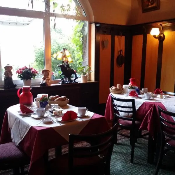 Pension Johanna, hotel v destinaci Assmannshausen