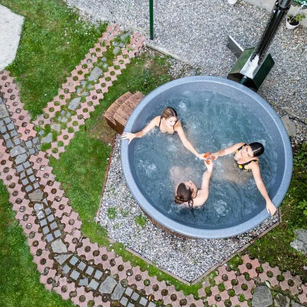 Pensiunea Dapa Ciubar & Sauna, hotel in Predeal