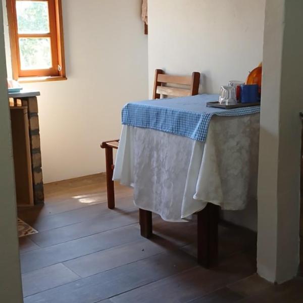 Canto da árvore - Foto 2