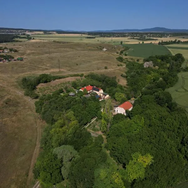 Vincellér Vendégház, hotel in Királyszentistván