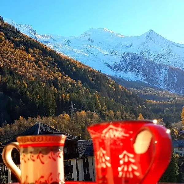 Le Chamois 5E Balcon panoramique MontBlanc avec parking gratuit, hotel in Chamonix-Mont-Blanc