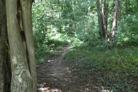 Pause Nature N, hotel in La Calamine