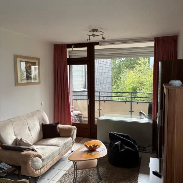 Francis Apartment am Mountainbike-Park, hotel en Winterberg