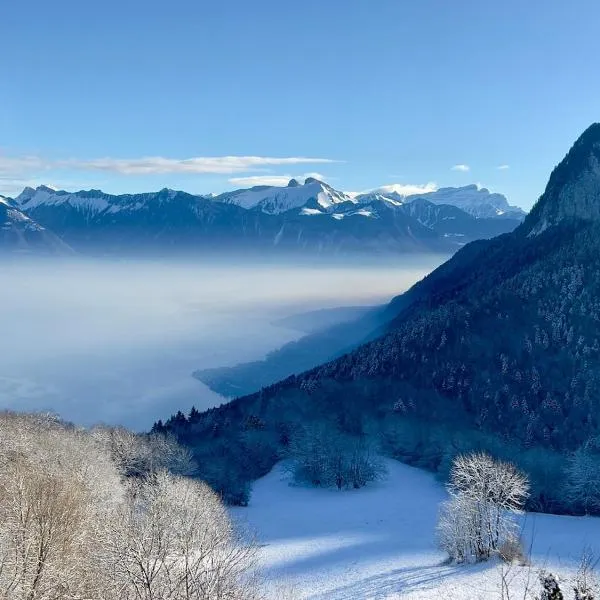 Magnifique Chalet Avec Vue Panoramique sur le Lac Léman, hotel a Thollon