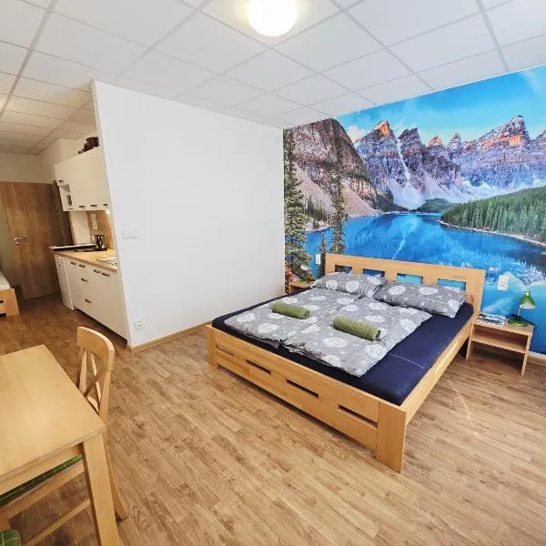 Studio Havelka, hotel in Železná Ruda