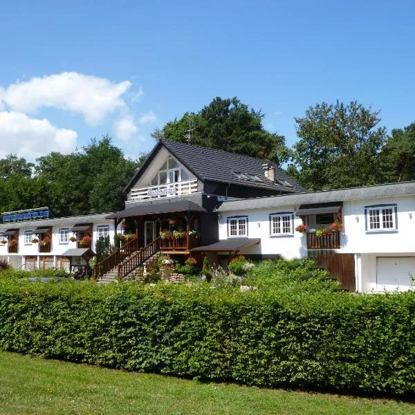 Hotel Restaurant Les Pins logis, hotel i Haguenau