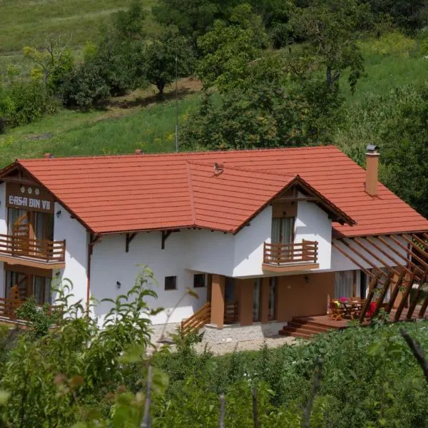 Pensiunea Casa din Vii, hotel a Şeuşa