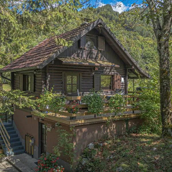 Vila Rozi, Osilnica - vacation house Pr' Vili Rozi, hotel v destinaci Osilnica