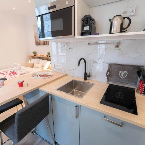 Nice Port studio avec grande baignoire, hotel in Nice