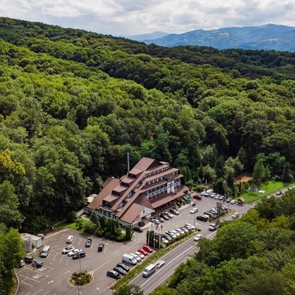 Hotel Fantanita Haiducului, hotel in Bradu