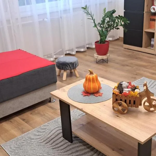 Emily Apartman Salgótarján, hotel a Salgótarján