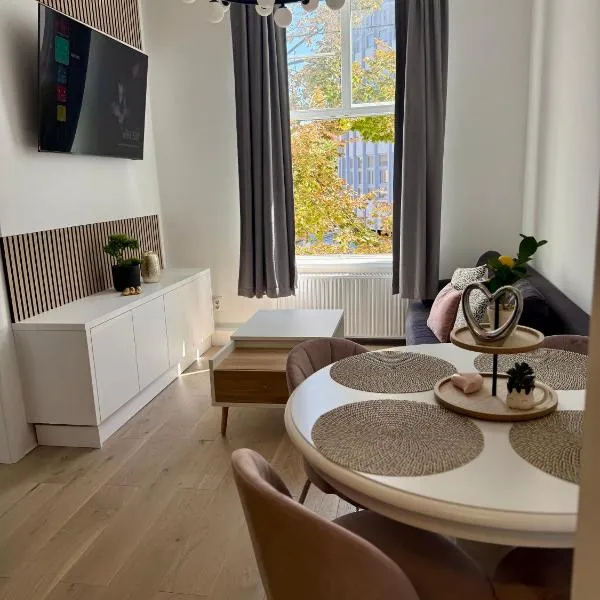 Apartment Ceasul Electric, ξενοδοχείο σε Satu Mare