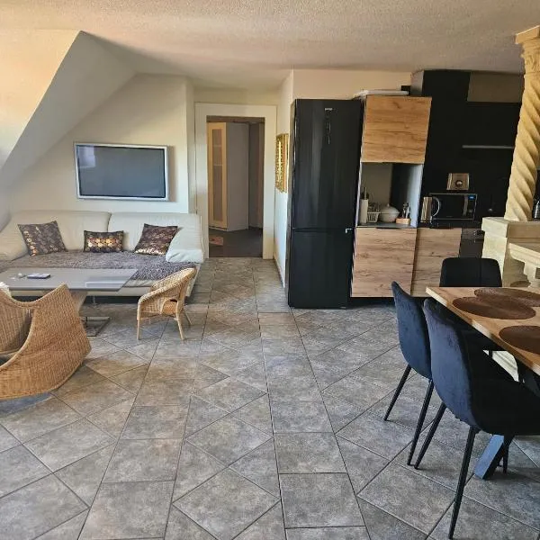 Vila Zlatá Přilba, hotel in Pardubice