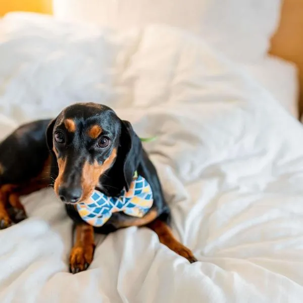 ibis Hotel Brussels Airport, hotel in Diegem