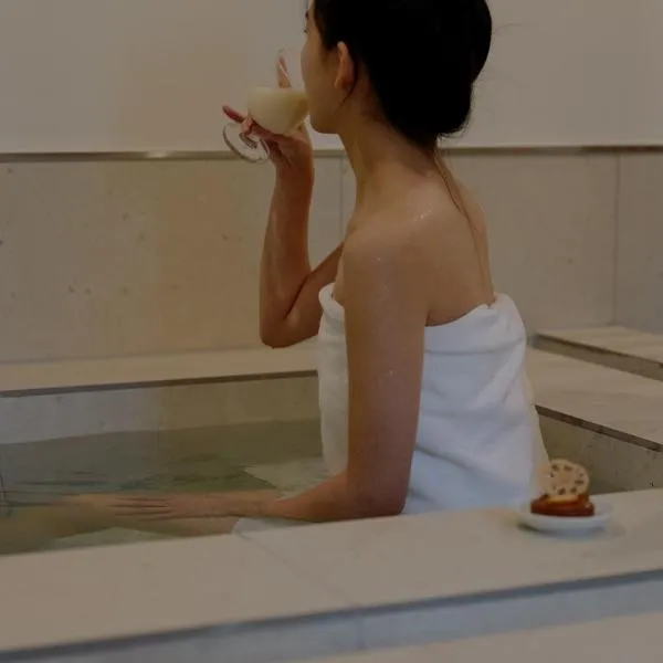 Anook Hotel Cheongnyangni, hotel v Soule