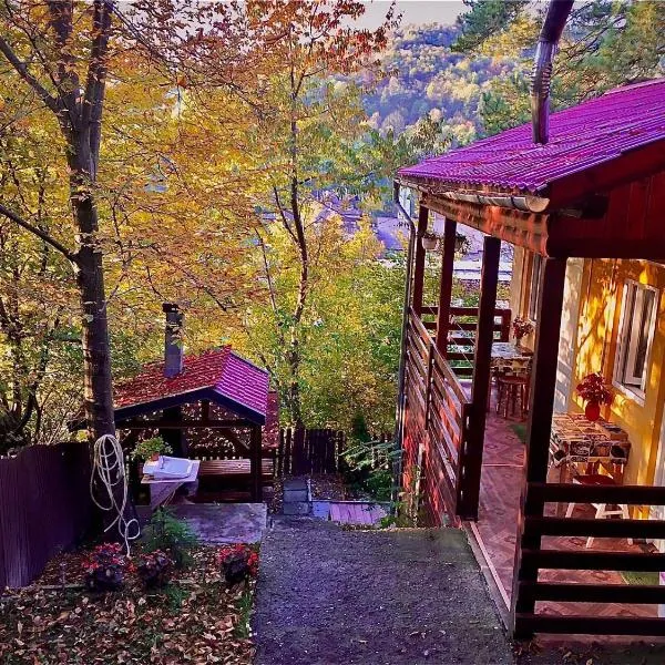 Hegyi-lak vendégház, hotel in Praid