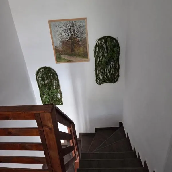 Pensiunea Gradia Șuncuiuș, hotel di Şuncuiuş