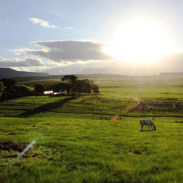 Blarney Stone Cottage, hotel en Killarney
