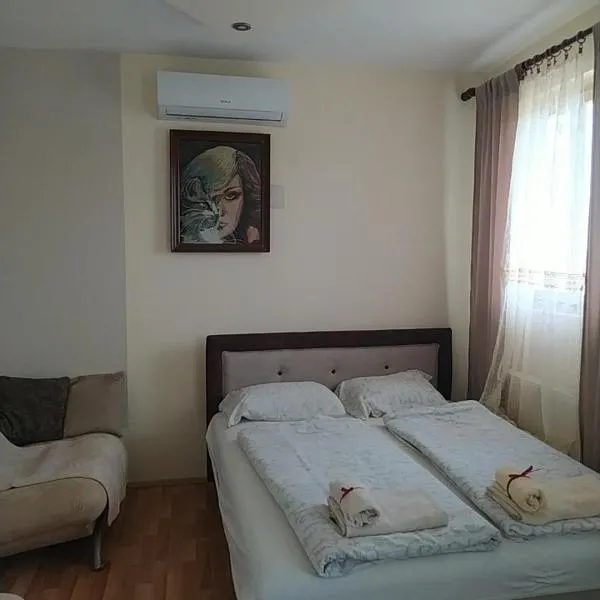 Sobe Popovica, hotel in Soko Banja