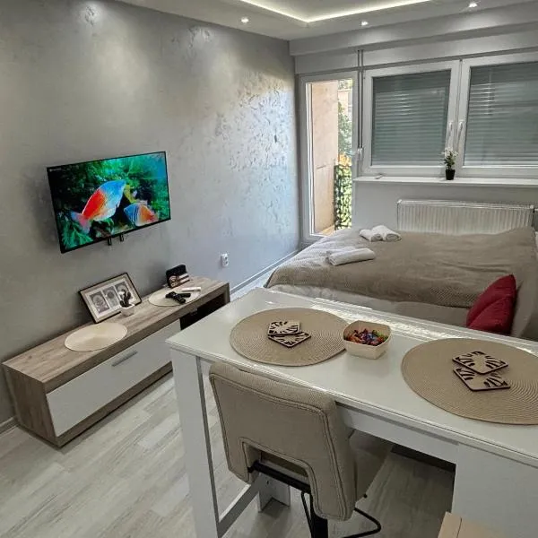 Sweet home, hotel di Bor