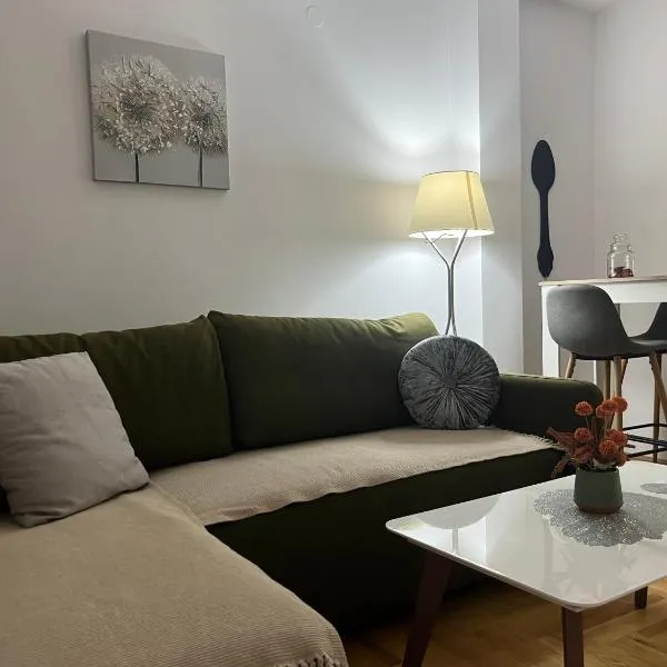 Tik-tak apartment, hotel in Petrovaradin