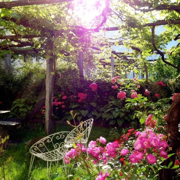 Bed & Breakfast Uvablu, hotel in Trontano