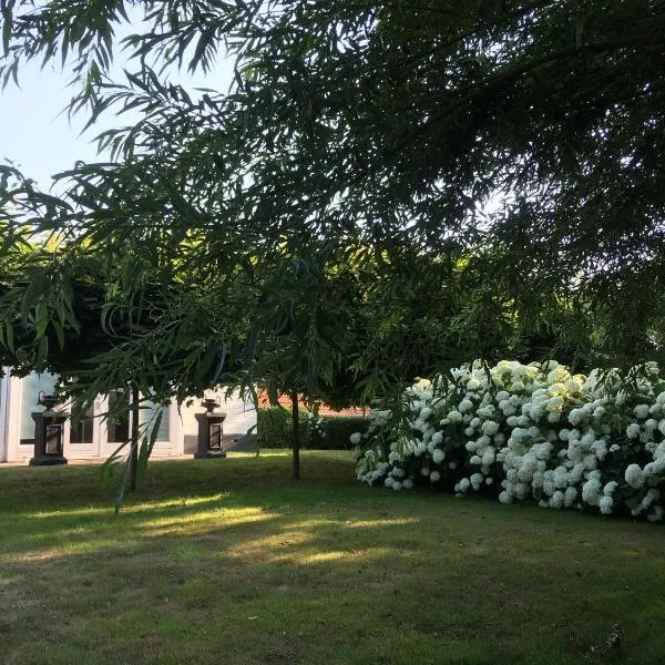 B&B de Tol, hotel v destinaci Hulst