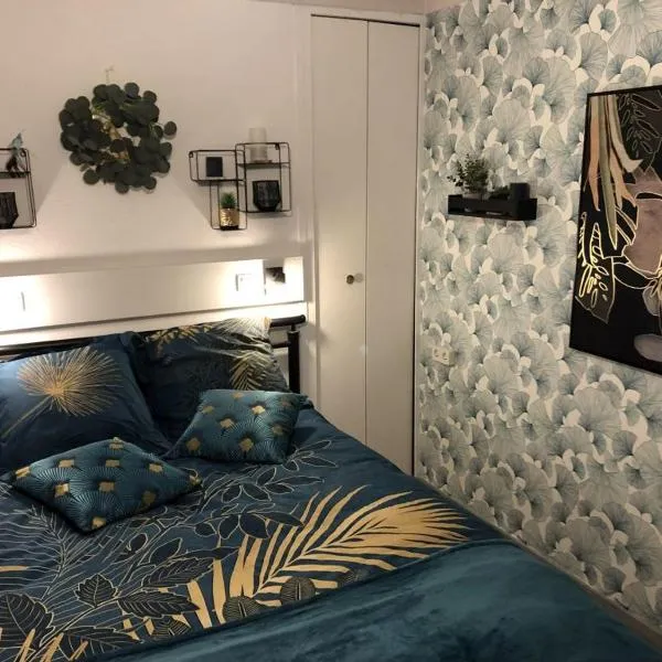 Appartement splendide vue mer, hotel i Le Barcarès