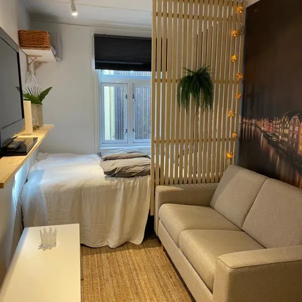 Studioleilighet midt i Trondheim, hotel in Lii