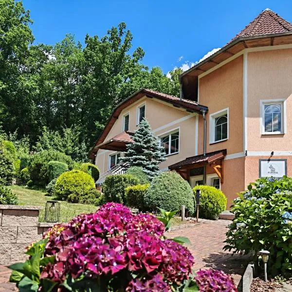 Penzion Pohoda Sokolov, hotel in Sokolov