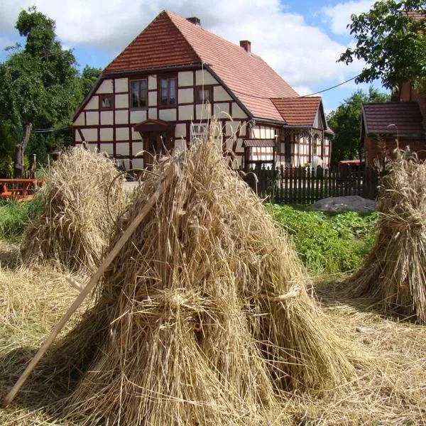 Zagroda Chłopska, hótel í Mołstowko