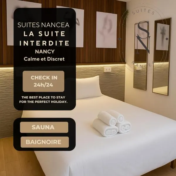 La Suite Interdite Jacuzzi, Sauna & Pièce Secrète, hotel in Nancy