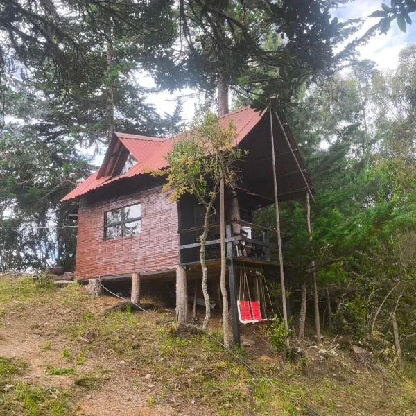 Cabaña sesquile del arbol, hotel in Sesquilé