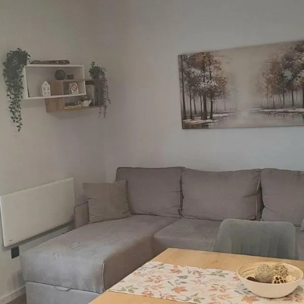 Lawa Apartments Kopaonik, khách sạn ở Cajetina