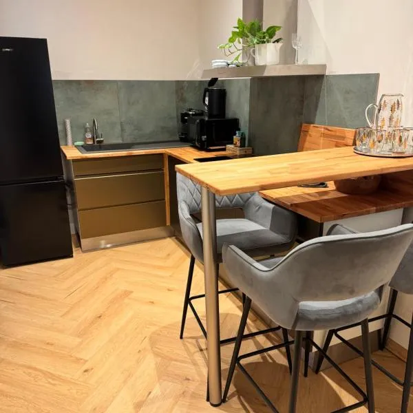 Apartmán u Vetešnictví, hotel in Vítkovice