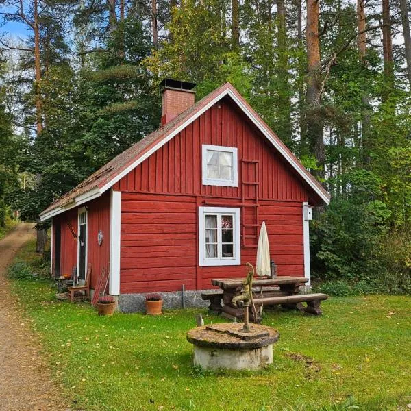 Romantic countryside SAUNA Cottage, hotel in Maakeski