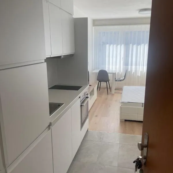 Komfortables Apartment für Urlaub in Triesen, hótel í Triesen