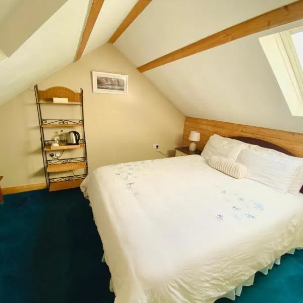 BallyV House: Private King Room with en-suite bathroom, breakfast, near Cliffs of Moher，位于利斯坎诺的酒店