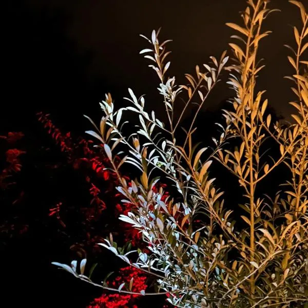 Four Seasons Cottage - in the Cotswolds, hotel in Tewkesbury