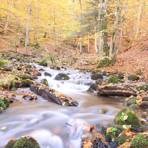 Fowo-Mangfalltal "Herbstidyll am Fluss ", hotel v destinaci Bruckmühl