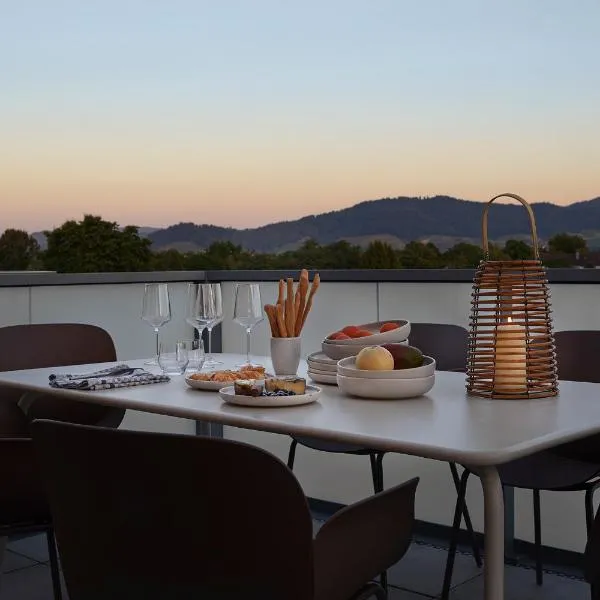 MATT ' Penthouse mit Dachterrasse & Weinbergblick, hotel a Offenburg