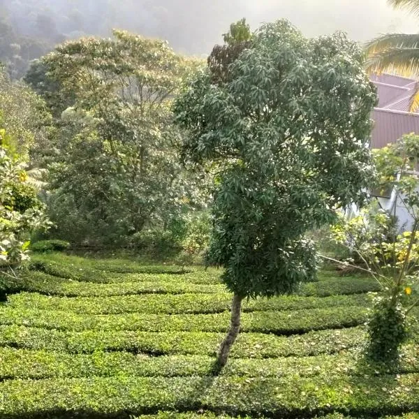 Monte Sereno Munnar, hotel in Anachal