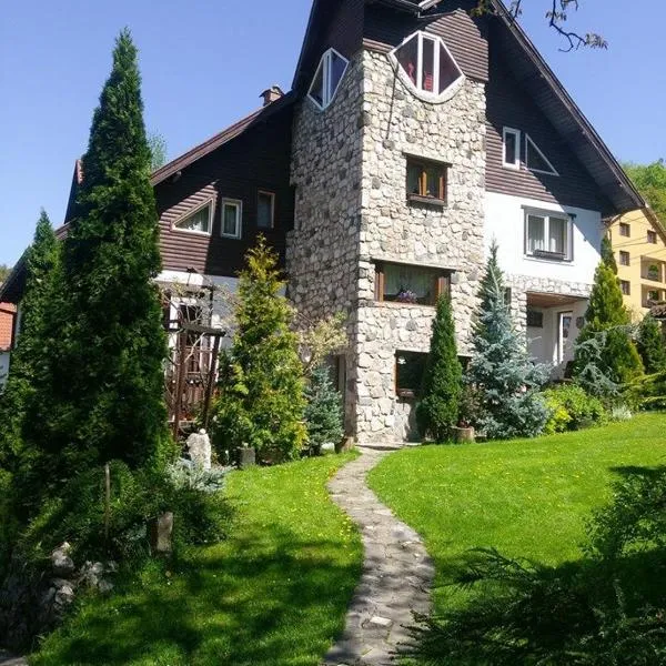 Pension Casa Contelui, khách sạn ở Rîşnov