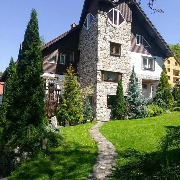 Pension Casa Contelui, hotel v destinaci Râşnov