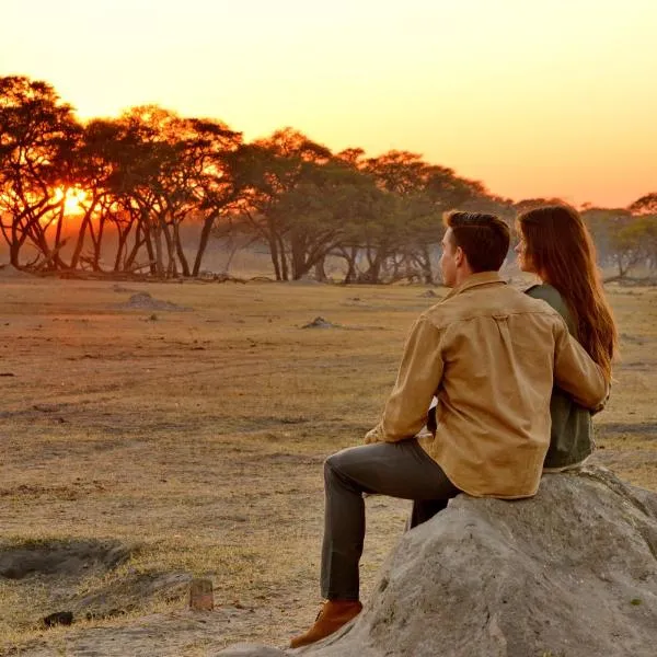 Hwange Safari Lodge, hotel in Dete