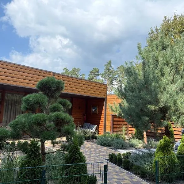 Гостевой комплекс "Дядя Саша": Sokirno şehrinde bir otel