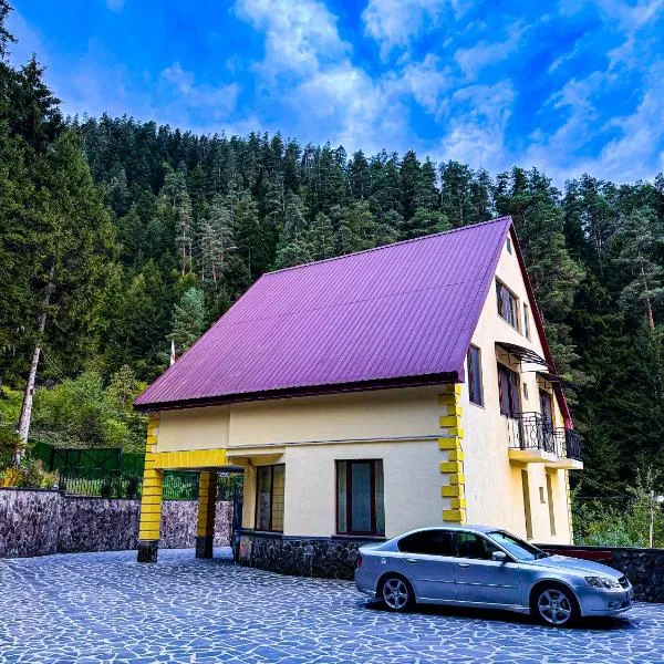 Hotel forest echo, hotel a Borjomi